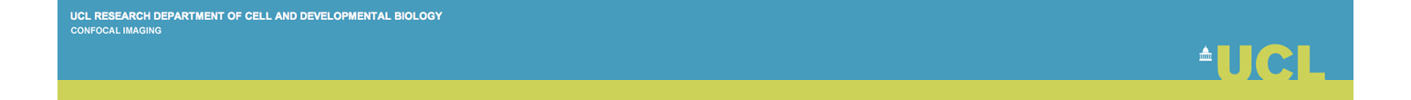 web_banner_new